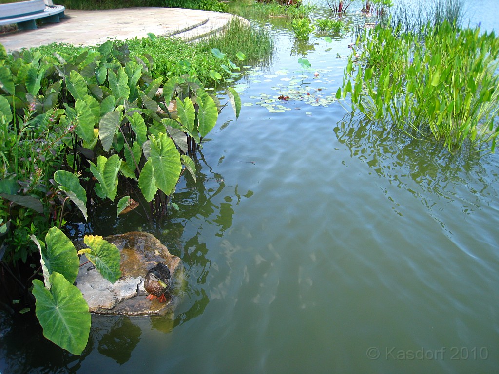 Botanical Gardens 2010 0405.jpg - The Chicago Botanic Gardens. Wear comfortable shoes, and be prepared to enjoy the landscape for a day.
